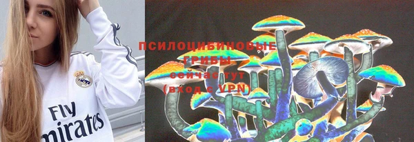 не бодяженный Бородино