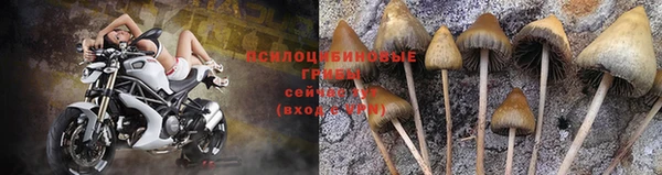 мефедрон Богданович