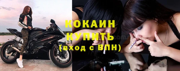 не бодяженный Бородино